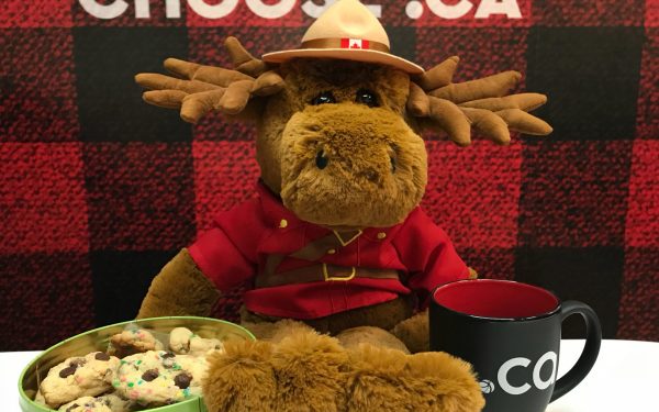 Neuf biscuits canadiens remarquables