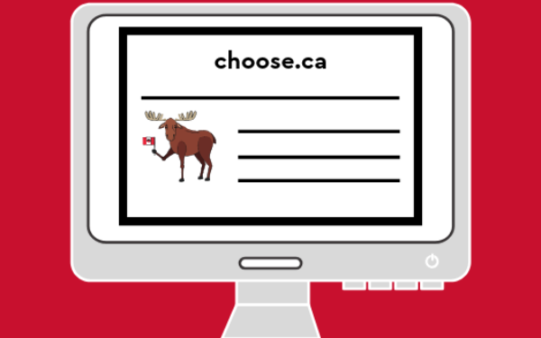 How to connect your .CA domain name to Squarespace