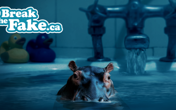 Exposing the hippo in the room: How to detect fake news