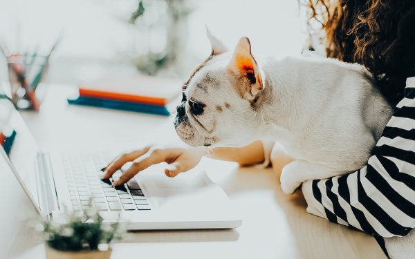 Rapport d’information .CA – T1 2021