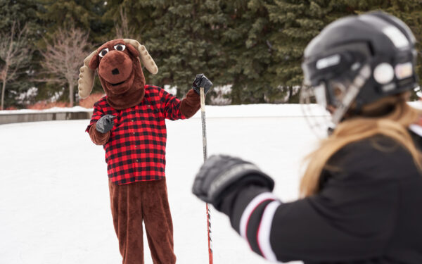 .CA Insights Report - <i>Q4 2021</i>