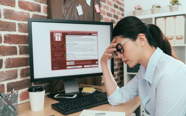 Private sector lags behind public in cybersecurity investment