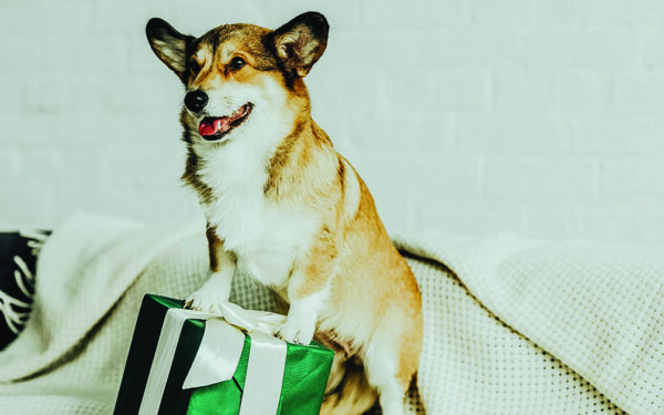 Exprimez votre amour pour vos animaux de compagnie avec le cadeau idéal