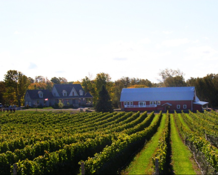 Hillier Creek Estates Winery Hilliercreekwinery.ca
