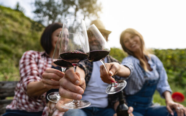 Seven best wineries you need to try in Canada