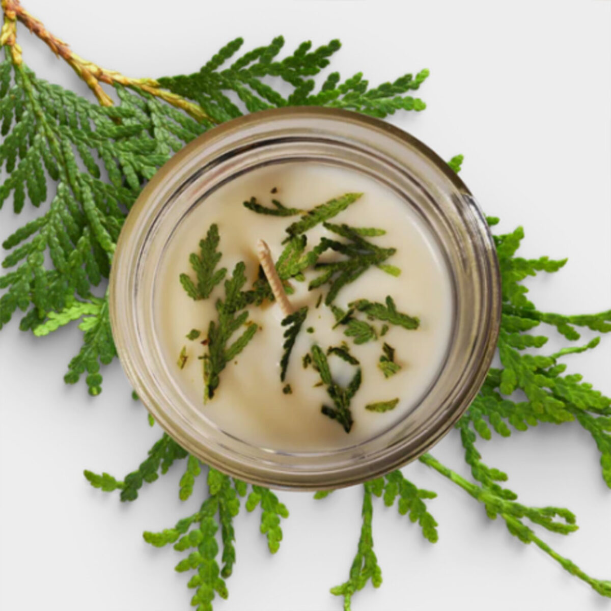 Indigenouslyinfused