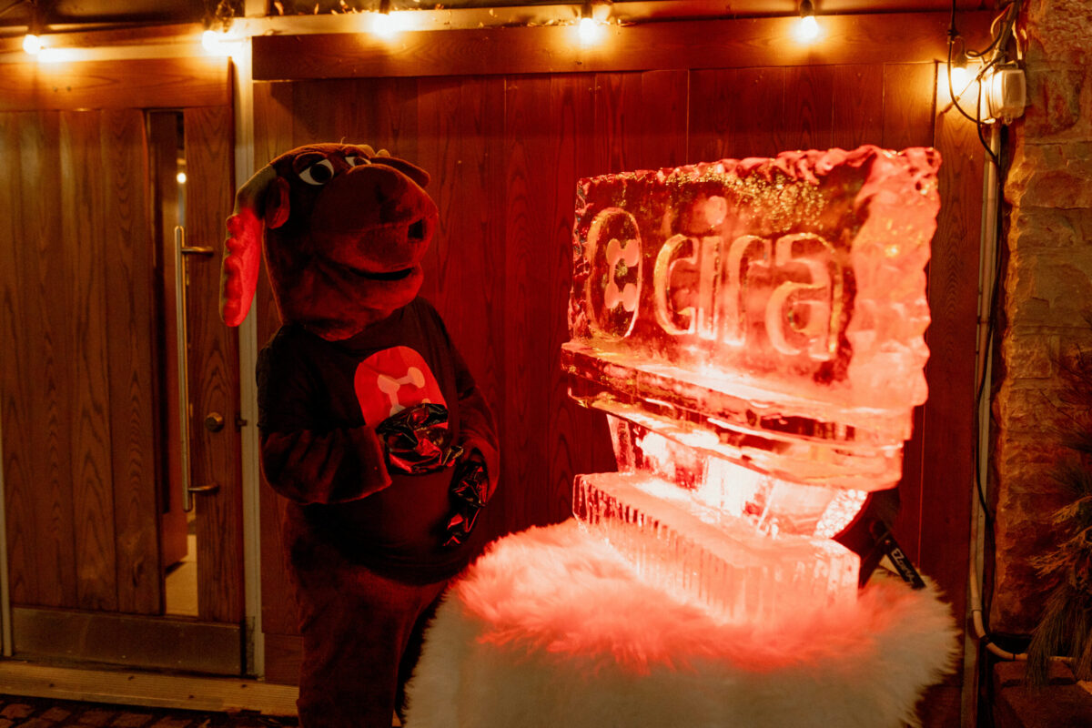 Canadians Connected: Ottawa