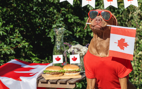 Acheter au Canada, célébrer le Canada : le guide ultime