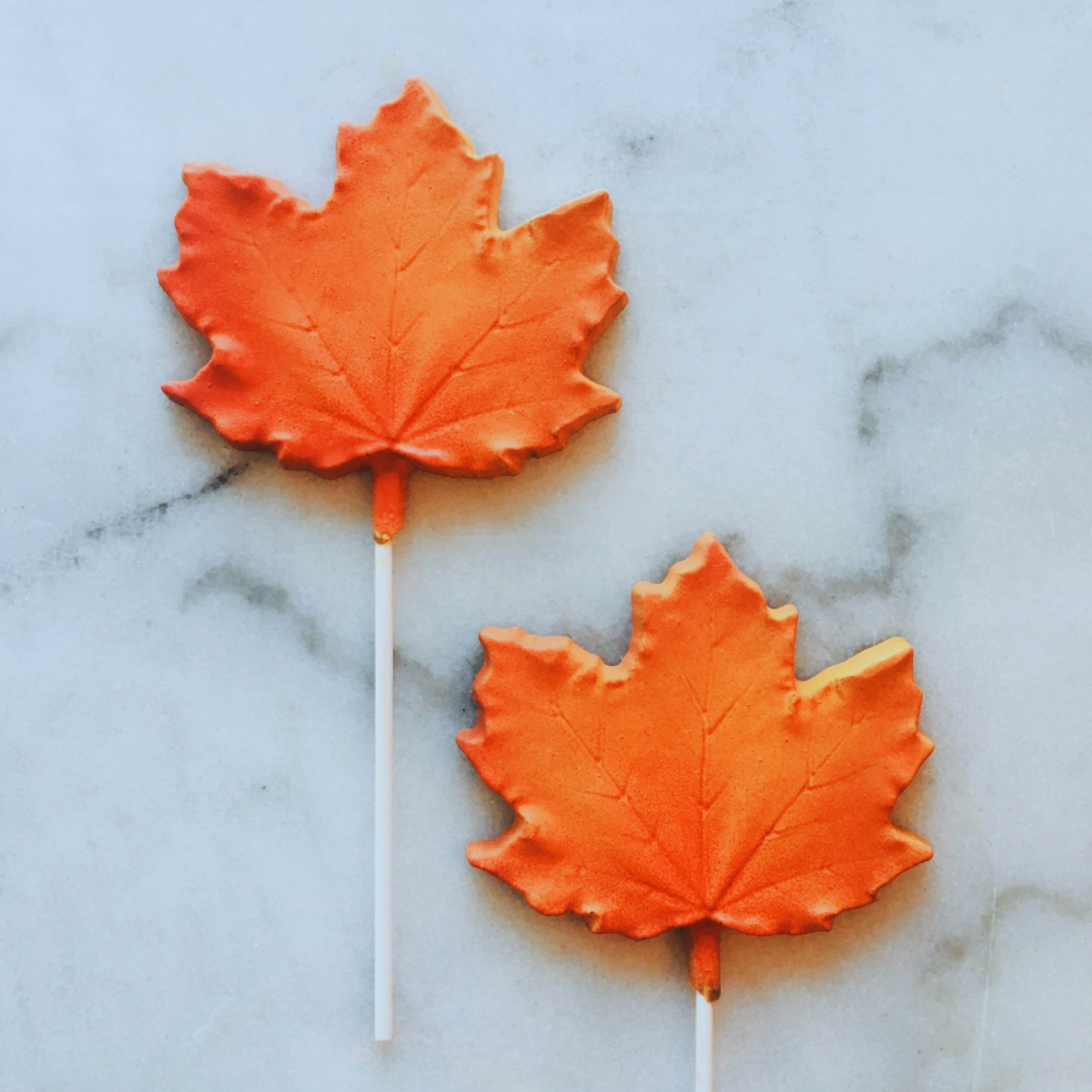 Quest xo maple lollies