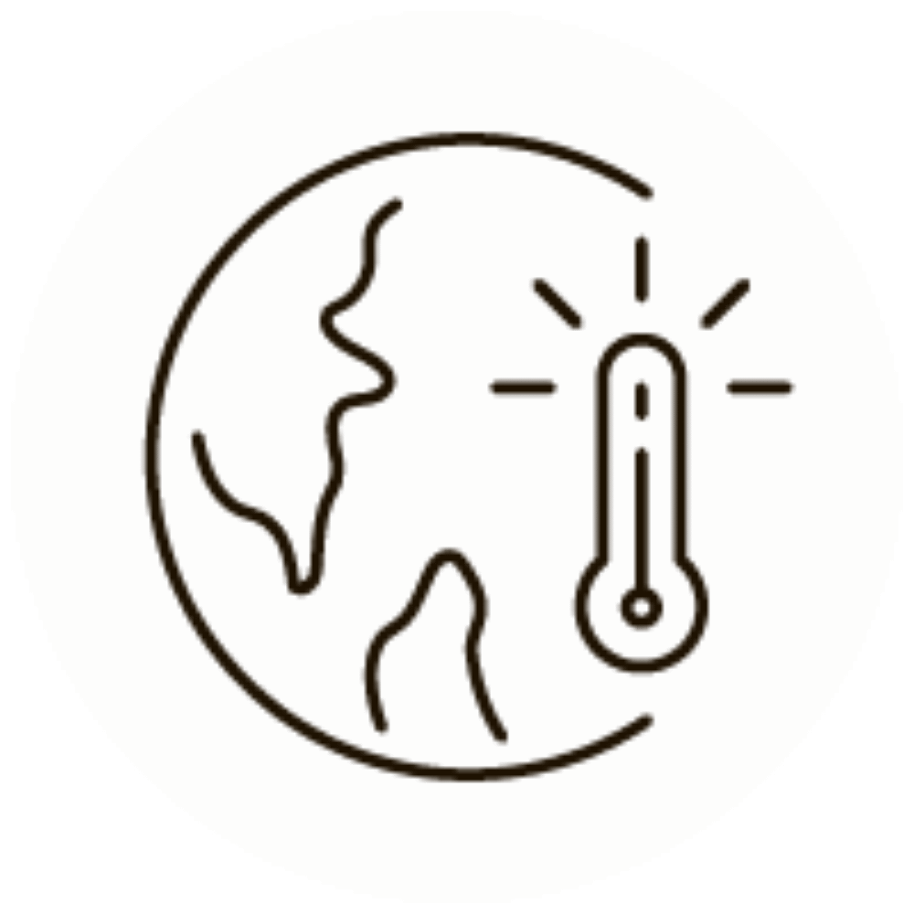 World temp