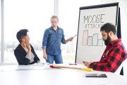 Woman in Canadian tuxedo reviews moose attack data