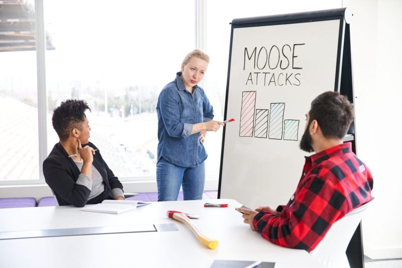 Woman in Canadian tuxedo reviews moose attack data