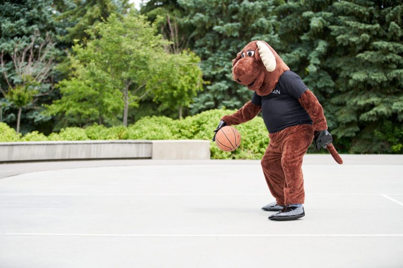 Moose plays basketball
