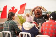 Moose tends bar